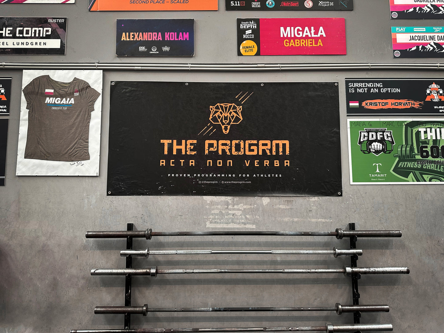 The Progrm banner